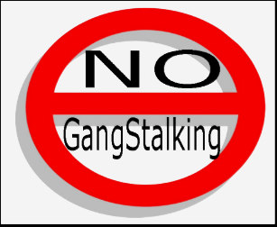 no_gangstalking_t_shirt-r9feb05ea7e94459d87de1306f156580e_k2gr0_307.jpg