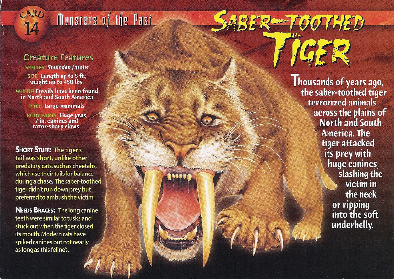 Saber-Toothed_Tiger_front (1).jpg