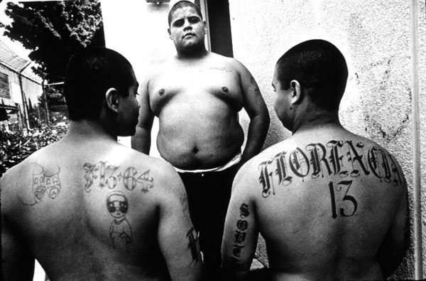 Texas Gangs