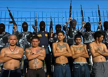 Ms 13 La
