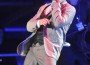 pitbull pitbull