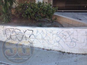 OLBz_x5_obsK-lg