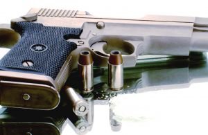 gun