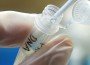 dna-testing dna-testing