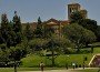UCLA UCLA