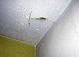 cracked ceiling cracked ceiling