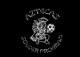 Aztecas soccer logo Aztecas soccer logo