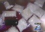 Pasadena drug trafficking raid Pasadena drug trafficking raid