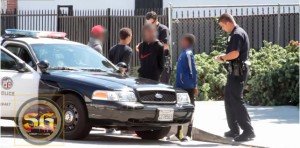 LAPD stop and frisk