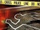 homicide report older victims 012315