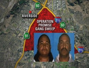 50 Arrested In Riverside Gang Sweep Streetgangs Com 50 Arrested In Riverside Gang Sweep Streetgangs Com