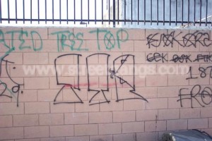 Tree Top Piru graffiti in Compton, CA